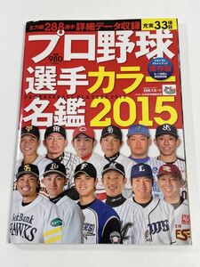 プロ野球選手カラー名鑑　2015年発行【H63074】