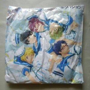 【京都アニメーション】Free!　クッション D