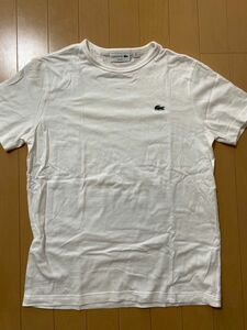 半袖Tシャツ クルーネック 白　ラコステ　LACOSTE