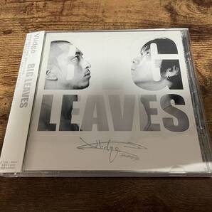 Vlidge CD「BIG LEAVES」●