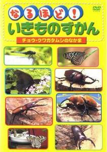 なるほど!いきものずかん チョウ・クワガタムシのなかま レンタル落ち 中古 DVD