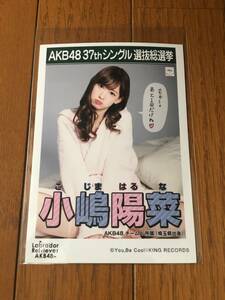 新品　AKB48 ラブラドールレトリバー 劇場盤 生写真　小嶋陽菜