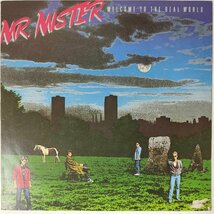 34137【日本盤】 Mr. Mister / Welcome to the Real World_画像1