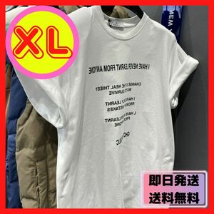 Tシャツ トップス ハン半そで ラウンドネック レディース XL 白