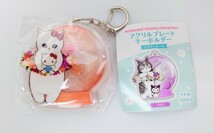 mofusand × Sanrio characters　アクリルプレートキーホルダー　フラワードーム　ハローキティ　モフサンド　サンリオ　ガチャガチャ　_画像2