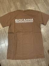 ★新品　未使用品　BIOCANNA ロゴTシャツ　茶色　Mサイズ★半袖　Tシャツ_画像2