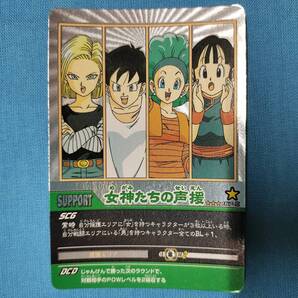 ドラゴンボール データカードダス 167-Ⅱ 女神たちの声援