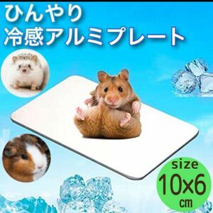 hi... cold sensation aluminium plate hamster aluminium plate cool mat 