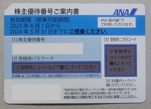 ANA全日空株主優待券1枚(2024年5月31日搭乗まで有効)