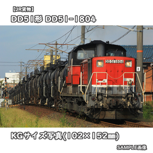 ◎KG写真【JR貨物】DD51形ディーゼル機関車 DD51-1804 ■セメント輸送 □撮影:関西本線 2014/10/4［KG0251］