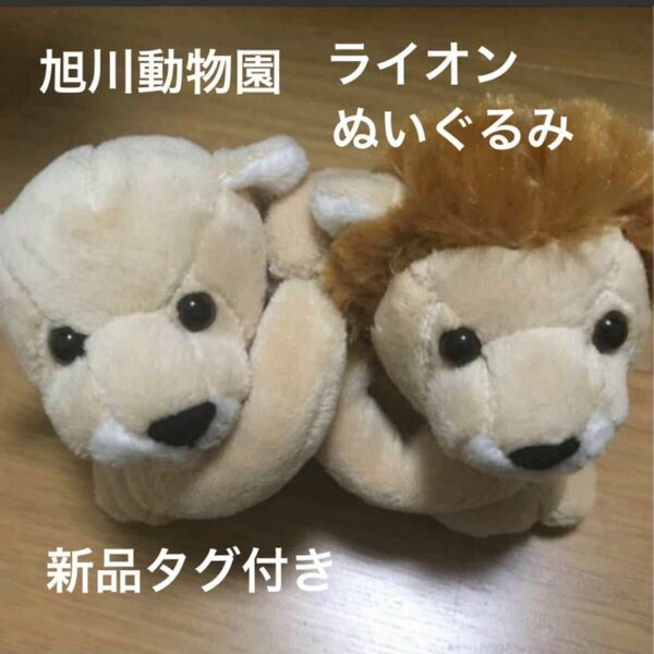 ぬいぐるみ　新品タグ付き　旭川動物園　　　　　ライオンぬいぐるみ　