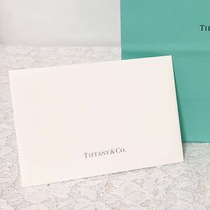 ティファニー「TIFFANY&Co.」ショッパー 小物箱サイズ旧型 (2995) 正規品 付属品 ショップ袋 ブランド紙袋 封筒付き 折らずに配送の画像9