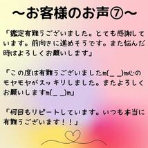 タロット占い　占い　結婚　恋愛　仕事　人間関係　金運　不倫　復縁　悩み　転職　運勢　離婚　霊視　適職　鑑定　送料無料　開運 相談_画像8