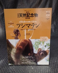 週刊　日本の天然記念物　動物編　２万年も前から対馬に生息するツシマテン　ツシマテンフィギュア付