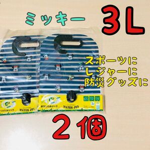 ミッキー　折りたたみジャグ　折りたたみ水筒　ポータブルジャグ【２個】