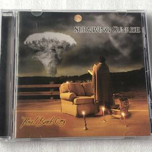 中古CD Surviving Sunrise サヴァイヴィング・サンライズ/Final Battle Cry (2008年) 米国産HR/HM,メタルコア系