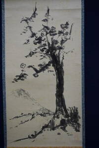 Art hand Auction [Authentisches Werk]/Teisen/Fuji und Kirschblüten/Hotei-ya-Hängerolle HF-389, Malerei, Japanische Malerei, Landschaft, Fugetsu