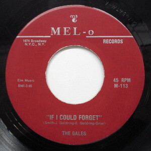 GALES-If Could Forget (Reissue)