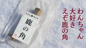 天然北海道産　エゾ鹿の角Ｍサイズ　１本、犬のおやつ、デンタルケア、食欲不振に！送料込