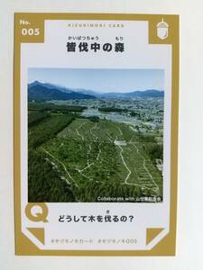 ●キヅキノキカード●05 皆伐中の森 ●長野県松川村●大判カード！同梱時の送料に注意●ラスト1枚●