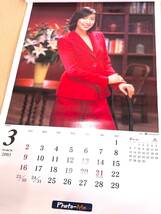 中古　TOEI　東映　カレンダー　CALENDAR　2003/1467_画像4