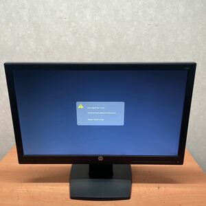 HP liquid crystal monitor V202 19.5 -inch * junk * (1)