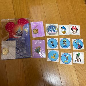 【非売品】 ディズニー来園記念　チャーム・ピンバッチ / シールセット