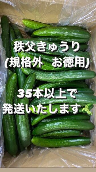 秩父きゅうり 35本以上 埼玉県秩父郡小鹿野町産 新鮮なきゅうりです。