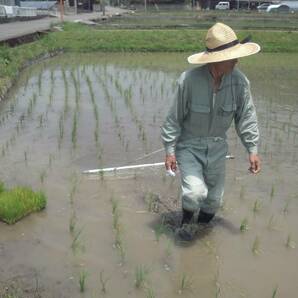 チェーン除草機 太チェーンで効果大(5.5mmチェーン10P×62本) 幅1.60m 人力水田除草 無農薬栽培 無農薬栽培用品 春準備用品の画像4