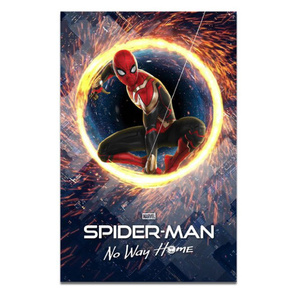  C3008 スパイダーマン ノー・ウェイ・ホーム マーベル キャンバスアートポスター 50×70cm イラスト インテリア 雑貨 海外製 枠なし E