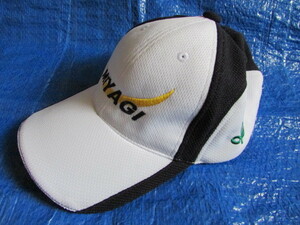 送料無料 帽子 キャップ 使用少なめ きれい ミズノ 国体 宮城県 代表 選手団 サイズ 56～60cm MIZUNO
