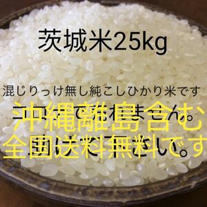 茨城産こしひかり　25kg 全国送料無料です