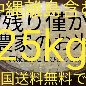 茨城産こしひかり　25kg 送料無料です