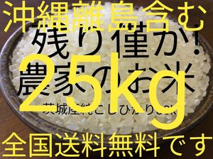 茨城産こしひかり　25kg 送料無料です