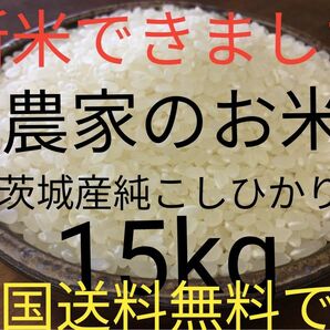 茨城産こしひかり15kg 送料無料です