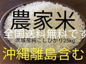 茨城産こしひかり　25kg 送料無料です