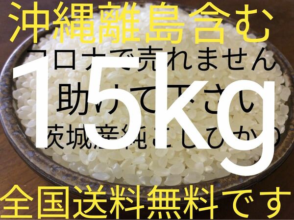 茨城産こしひかり15kg 送料無料です