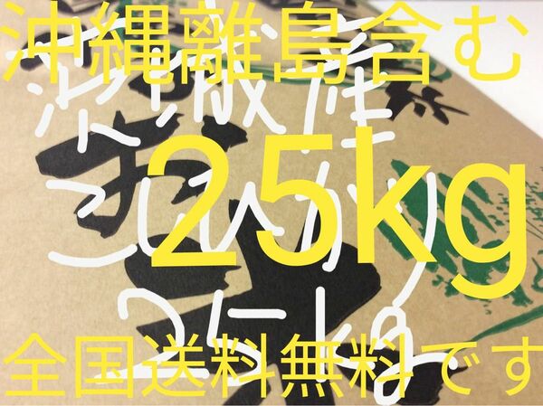 茨城産こしひかり25kg 送料無料です