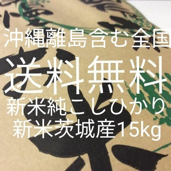 茨城産こしひかり15kg 送料無料です