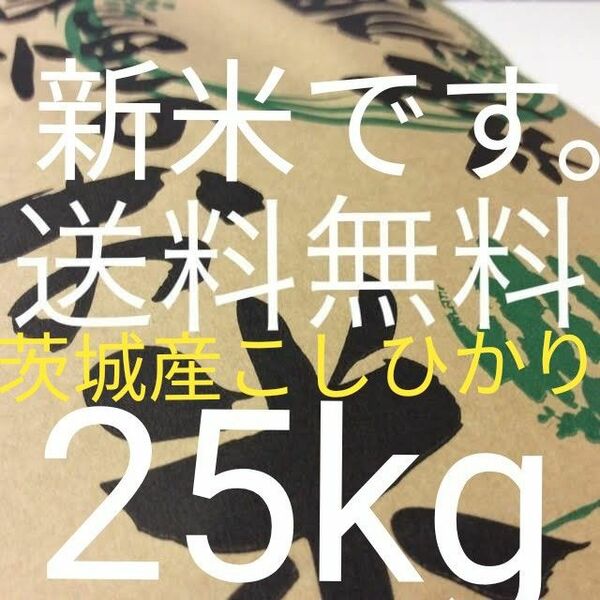 茨城産こしひかり　25kg 送料無料です