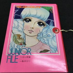 b-502 JUNIOR FILE りぼん特製 一条ゆかり ※6