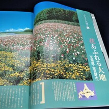 c-238 花のあらかると 地坊華道会会誌 12号1985年※6 _画像5