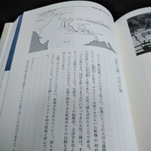 c-622 シルクロード　ローマへの道　第七巻　パミールを越えて　パキスタン　インド　日本放送出版協会※6 _画像8