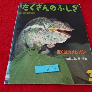 d-630 月刊 たくさんのふしぎ ぼくはカメレオン 飯島正広 文・写真 1977年発行 3月号 福音館書店※6 