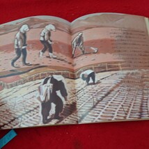 d-645 月刊 たくさんのふしぎ 1996年発行 3月号 森をそだてる漁師の話 野坂勇作 文・絵 福音館書店※6 _画像4