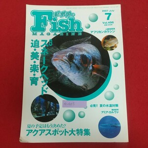 e-403*6 tropical fish. FishMAGAZINE fish magazine 2007 year 7 month number Vol.496 Heisei era 19 year 7 month 1 day issue green bookstore Sune -k head .* beautiful * comfort *.