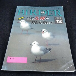 f-311 バードウオッチング・マガジン　BIRDER 1995年12月号　特集　冬の九州がおもしろい！※6