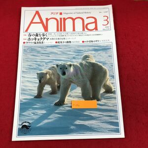 e-050 Anima (アニマ) 1992年3月号 No.234 平凡社 特集:春の森を歩く ホッキョクグマ イギリスの猛禽保護 流氷下の動物 ほか ※6 