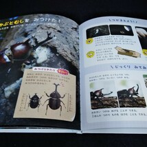 f-365 　しぜんキンダーブック7月号　むしをつかまえよう　フレーベル館※6_画像4