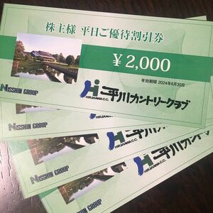 【最新】日神グループホールディングス 株主優待　平川カントリークラブ 平日ご優待割引券 8000円分　ミニレター対応63円　2024年6月30日　